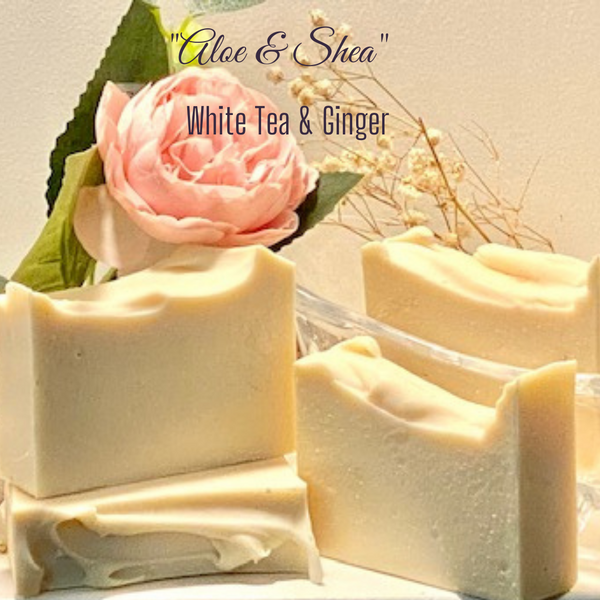 Aloe and Shea - White Tea and Ginger